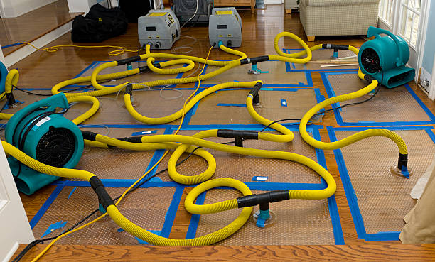 Professional Basement Flood Cleanup technician working in Temple Bar Marina, AZ